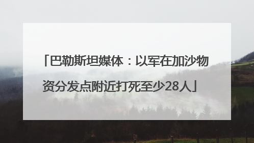 巴勒斯坦媒体：以军在加沙物资分发点附近打死至少28人