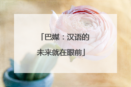 巴媒：汉语的未来就在眼前
