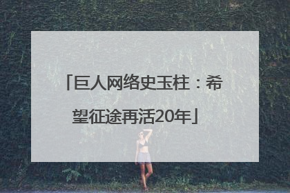 巨人网络史玉柱：希望征途再活20年