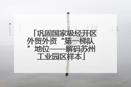 巩固国家级经开区外贸外资“第一梯队”地位——解码苏州工业园区样本