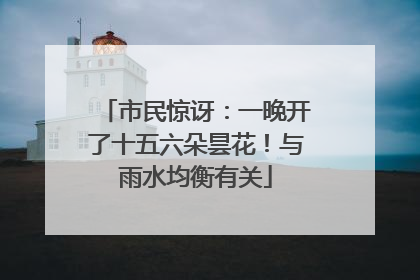 市民惊讶：一晚开了十五六朵昙花！与雨水均衡有关
