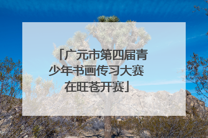 广元市第四届青少年书画传习大赛在旺苍开赛