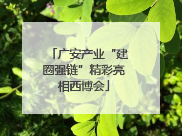 广安产业“建圈强链”精彩亮相西博会