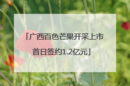 广西百色芒果开采上市 首日签约1.2亿元