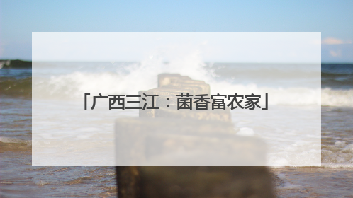 广西三江：菌香富农家