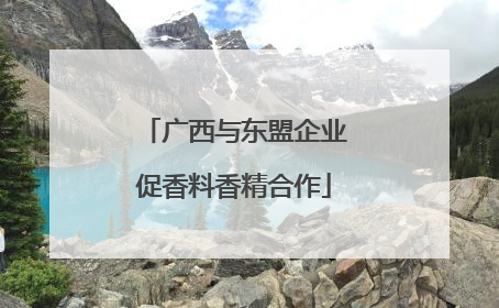 广西与东盟企业促香料香精合作