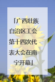 广西壮族自治区工会第十四次代表大会在南宁开幕