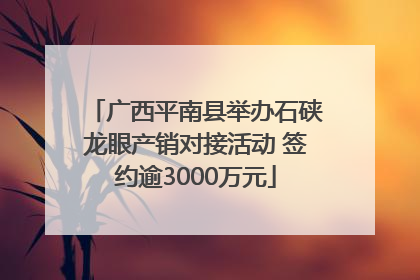广西平南县举办石硖龙眼产销对接活动 签约逾3000万元