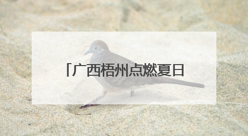 广西梧州点燃夏日“夜经济”活力