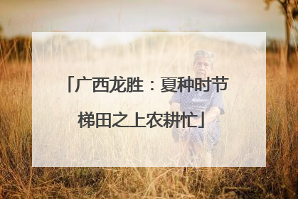 广西龙胜：夏种时节 梯田之上农耕忙