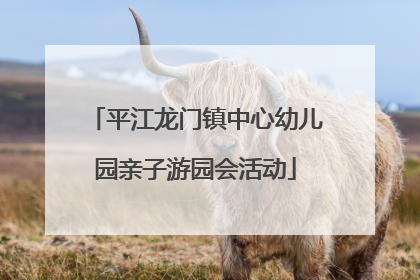 平江龙门镇中心幼儿园亲子游园会活动