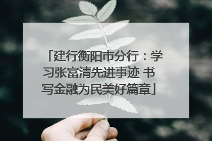 建行衡阳市分行：学习张富清先进事迹 书写金融为民美好篇章