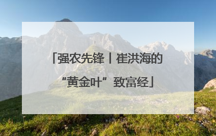 强农先锋丨崔洪海的“黄金叶”致富经