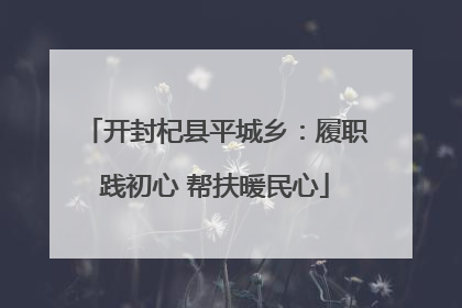 开封杞县平城乡：履职践初心 帮扶暖民心