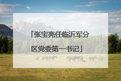 张宝亮任临沂军分区党委第一书记