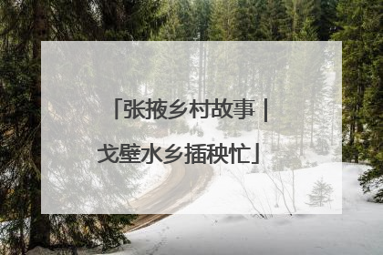 张掖乡村故事｜戈壁水乡插秧忙