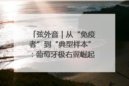 弦外音｜从“免疫者”到“典型样本”：葡萄牙极右翼崛起背后的欧洲困局