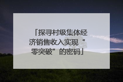 探寻村级集体经济销售收入实现“零突破”的密码