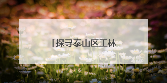 探寻泰山区王林坡村当“红”不让的“网红密码”