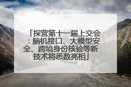 探营第十一届上交会：脑机接口、大模型安全、跨境身份核验等新技术将悉数亮相