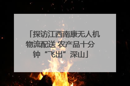 探访江西南康无人机物流配送 农产品十分钟“飞出”深山