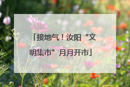 接地气！汝阳“文明集市”月月开市