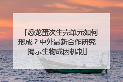 恐龙蛋次生壳单元如何形成？中外最新合作研究揭示生物成因机制