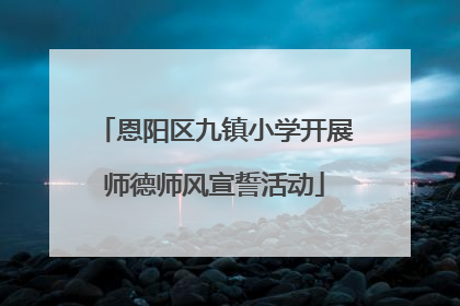 恩阳区九镇小学开展师德师风宣誓活动