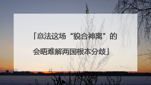 意法这场“貌合神离”的会晤难解两国根本分歧