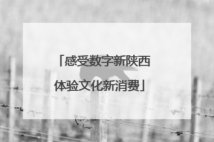 感受数字新陕西 体验文化新消费