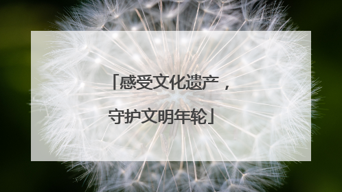 感受文化遗产，守护文明年轮