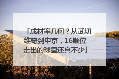 成材率几何？从武切维奇到申京，16顺位走出的球星还真不少