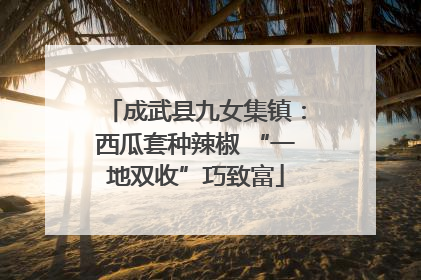 成武县九女集镇：西瓜套种辣椒 “一地双收”巧致富