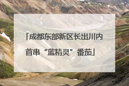 成都东部新区长出川内首串“蓝精灵”番茄