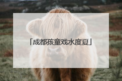 成都孩童戏水度夏