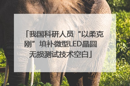 我国科研人员“以柔克刚”填补微型LED晶圆无损测试技术空白
