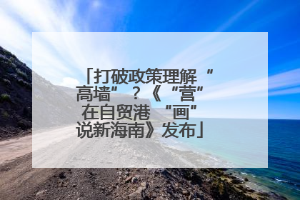 打破政策理解“高墙”？《“营”在自贸港 “画”说新海南》发布