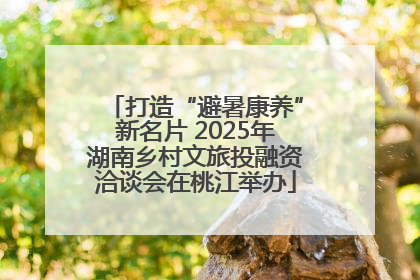 打造“避暑康养”新名片 2025年湖南乡村文旅投融资洽谈会在桃江举办