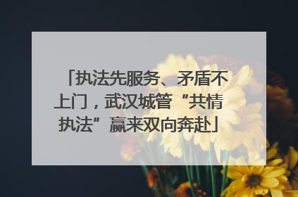执法先服务、矛盾不上门，武汉城管“共情执法”赢来双向奔赴
