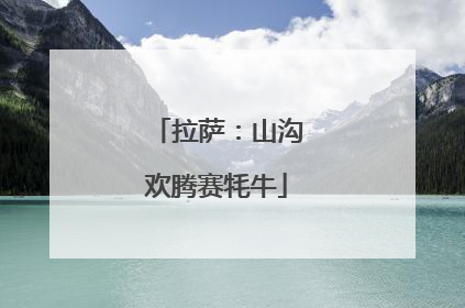 拉萨：山沟欢腾赛牦牛