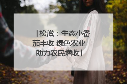 松滋：生态小番茄丰收 绿色农业助力农民增收