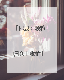 杞县：颗粒归仓丰收忙