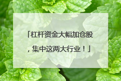 杠杆资金大幅加仓股，集中这两大行业！