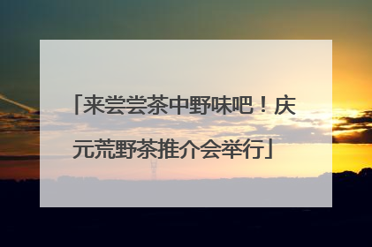 来尝尝茶中野味吧！庆元荒野茶推介会举行
