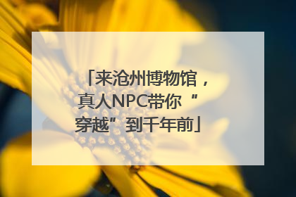来沧州博物馆，真人NPC带你“穿越”到千年前
