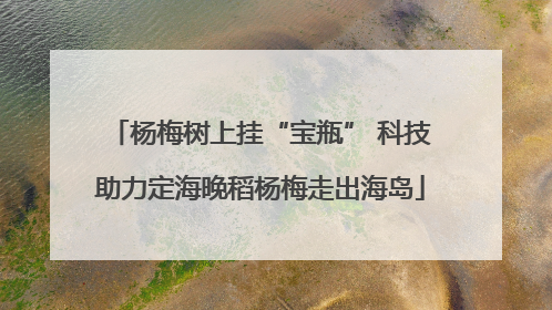 杨梅树上挂“宝瓶” 科技助力定海晚稻杨梅走出海岛