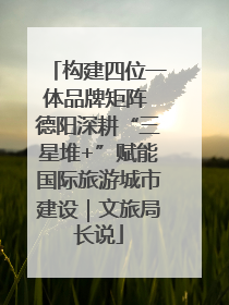 构建四位一体品牌矩阵 德阳深耕“三星堆+”赋能国际旅游城市建设｜文旅局长说