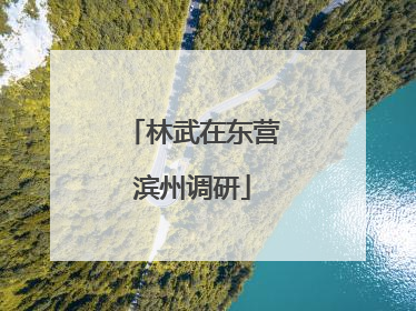 林武在东营滨州调研