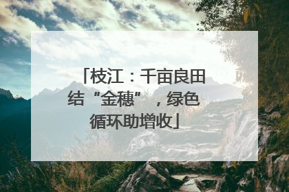 枝江：千亩良田结“金穗”，绿色循环助增收