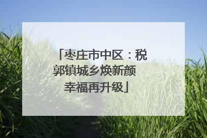 枣庄市中区：税郭镇城乡焕新颜 幸福再升级